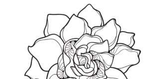 flowering gardenia coloring book to print