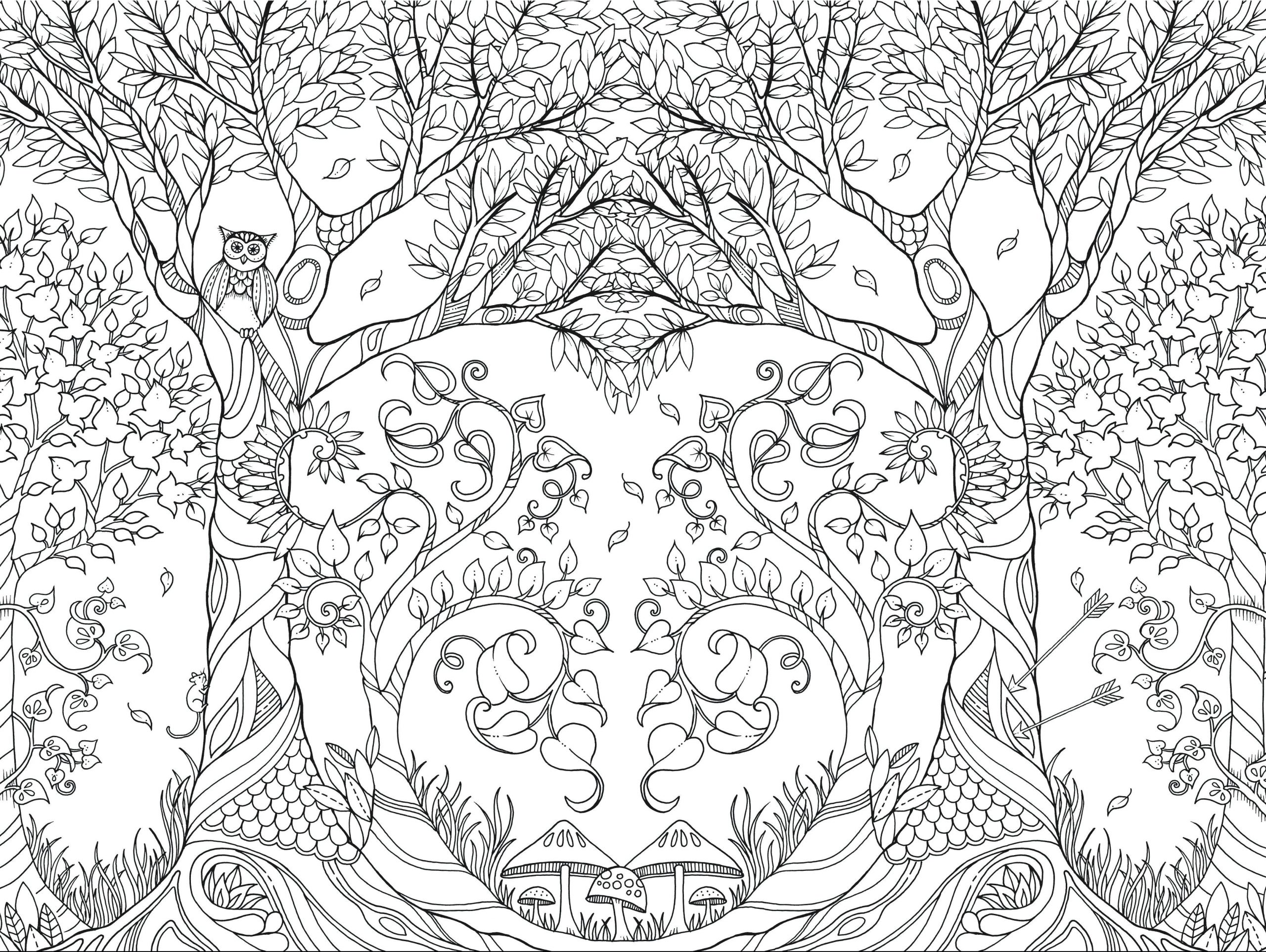 Заколдованный рисунок. Раскраски антистресс Джоанна Басфорд Зачарованный лес. Джоанна Бэсфорд таинственный лес. Раскраски антистресс Джоанна Басфорд таинственный сад. Джоанна Бэсфорд таинственный сад чёрно белая.