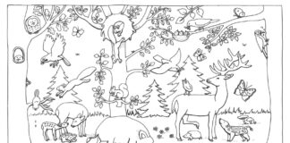 bosque y sus habitantes libro para colorear para imprimir