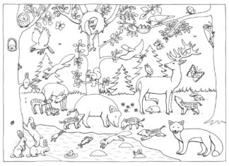 forest and its inhabitants coloring book to print