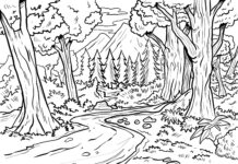 coniferous forest coloring book to print