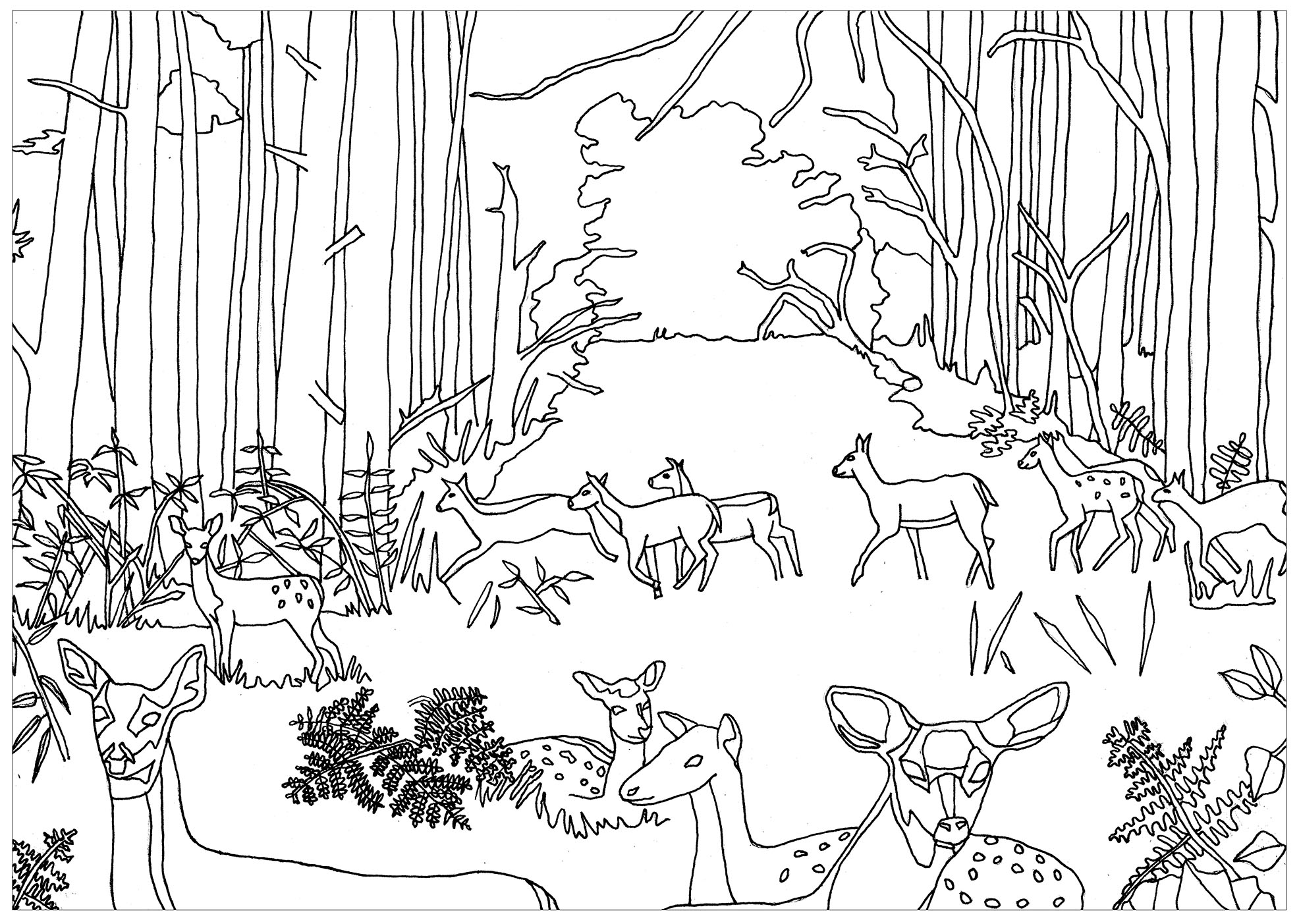 Autumn forest coloring book to print and online