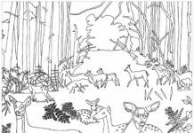 forest in autumn coloring book to print