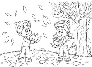 autumn forest coloring book to print