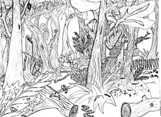 equatorial forest coloring book to print