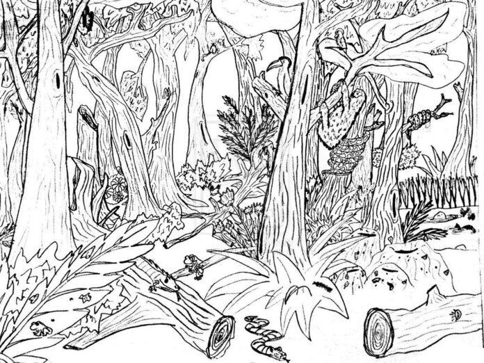 赤道直下の森の印刷用塗り絵