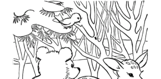 forest with animals coloring book to print