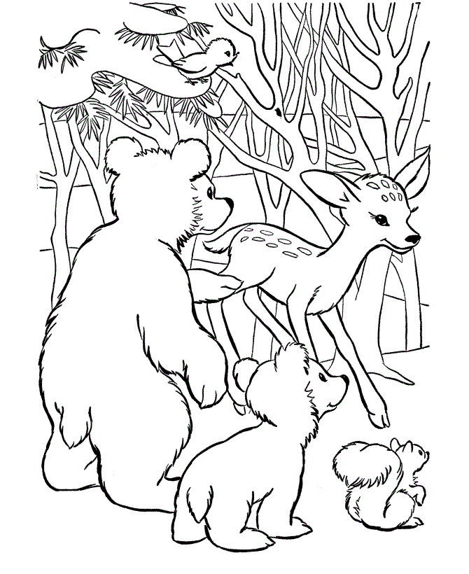 forest with animals coloring book to print