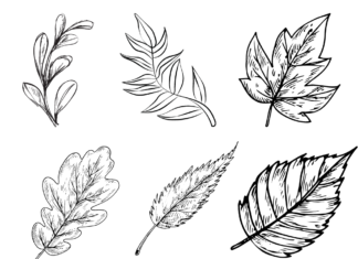leaves coloring book to print