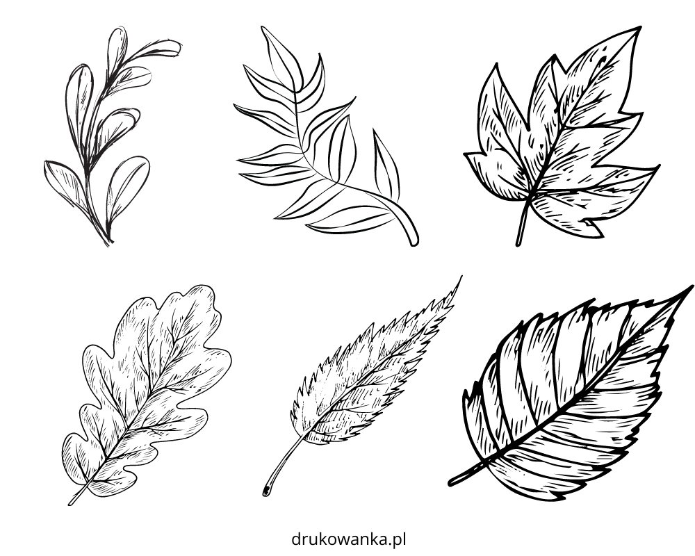 leaves coloring book to print