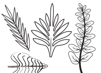 jungle leaves coloring book to print