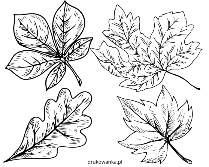efterårsblade til udskrivning og farvelægning