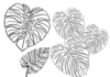 monstera leaves coloring book to print