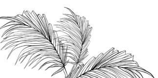 palm leaves coloring book to print