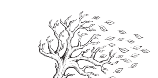 livre de coloriage des feuilles tombant de l'arbre à imprimer