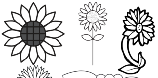 livre de coloriage de feuilles de tournesol à imprimer