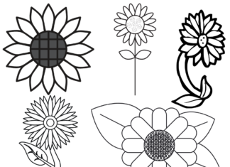 sunflower leaves coloring book to print