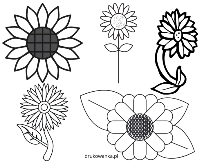 libro para colorear de hojas de girasol para imprimir