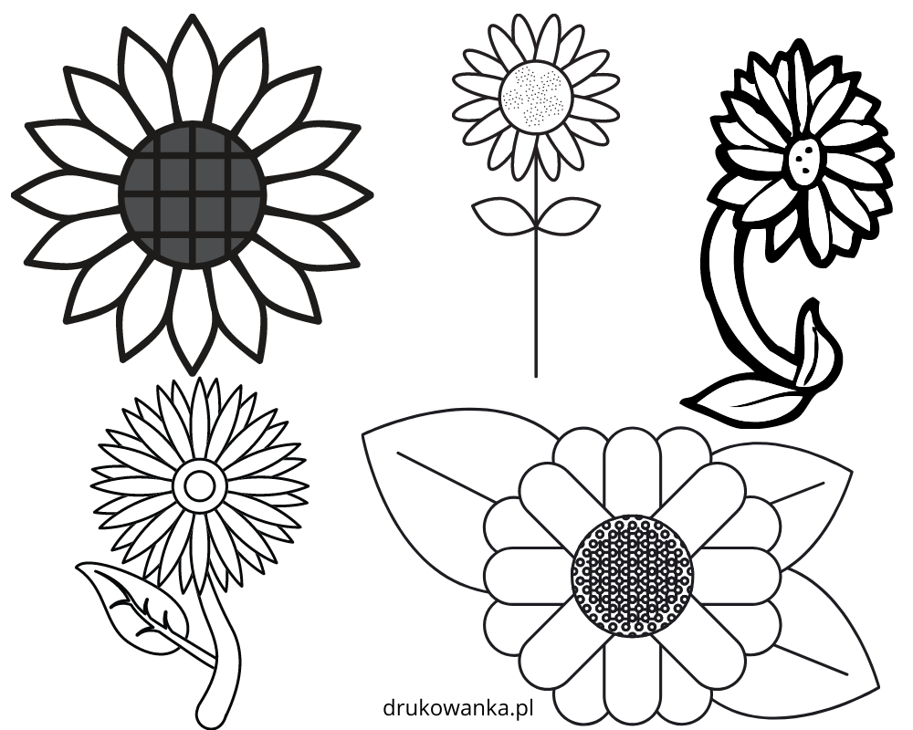sunflower leaves coloring book to print