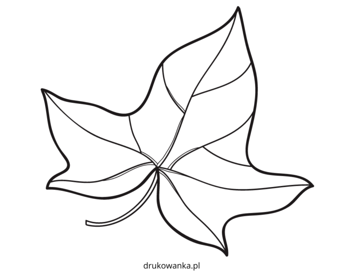 ivy leaf coloring book to print