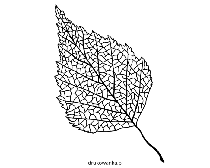 birch leaf coloring book to print