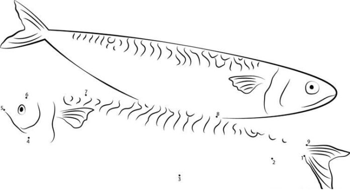 mackerel connect and color in printable colouring book（サバ・コネクト・アンド・カラー・プリント・ブック