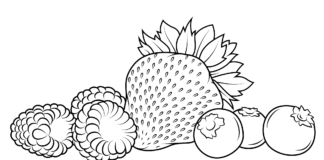 Maliny, jahody a čučoriedky obrázok na vytlačenie