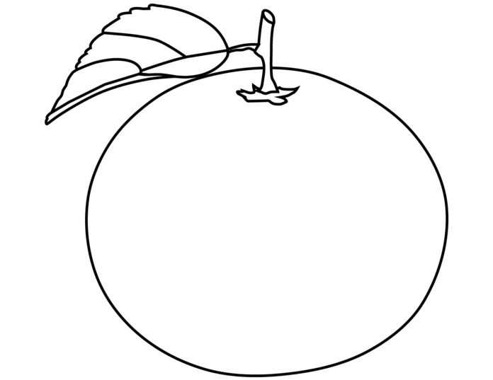 Mandarinka s listem obrázek k vytištění