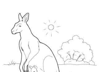 lille kænguru og kænguru, der kan udskrives som malebog