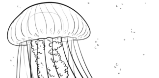 jellyfish in the ocean coloring book to print