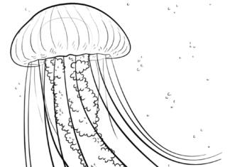 meduza w oceanie kolorowanka do drukowania