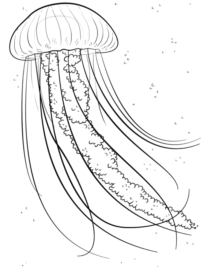 jellyfish in the ocean coloring book to print