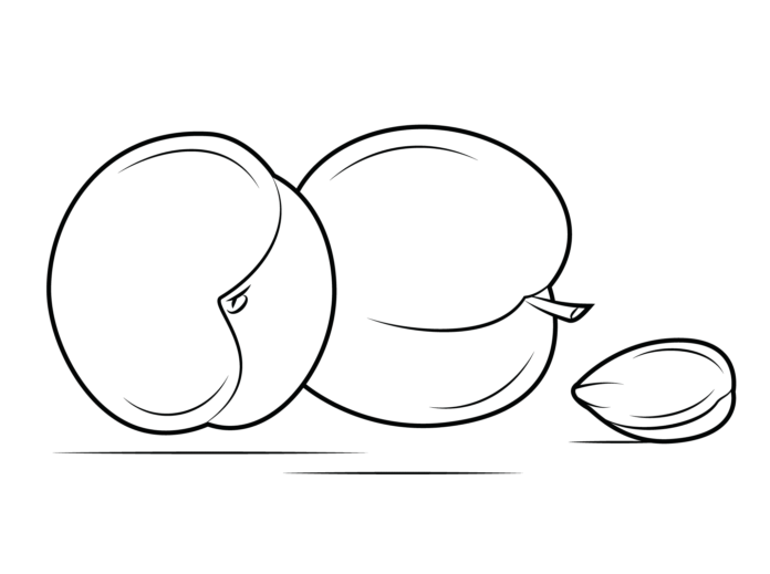 Meruňka a kámen obrázek k vytištění
