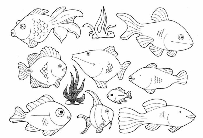 morskie ryby kolorowanka do drukowania