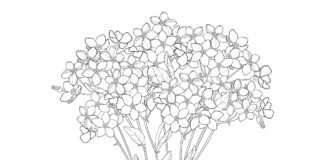 forget-me-not bouquet coloring book to print