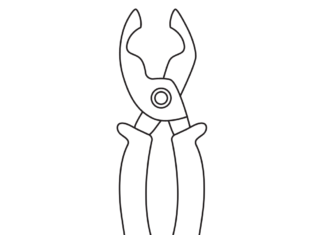 Pincers printable picture