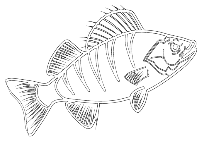 perch under water coloring book printable