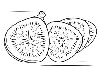 Viikunan hedelmät tulostettava kuva