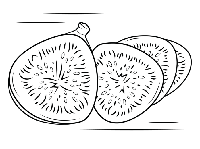 イチジクの果実の印刷用画像