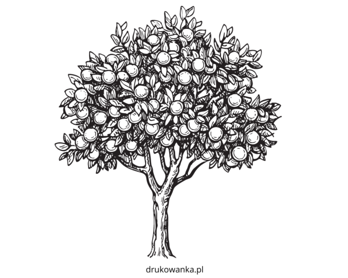 Obstbaum Malbuch zum Ausdrucken