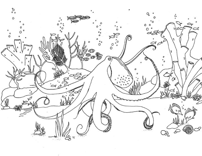octopus coloring book to print
