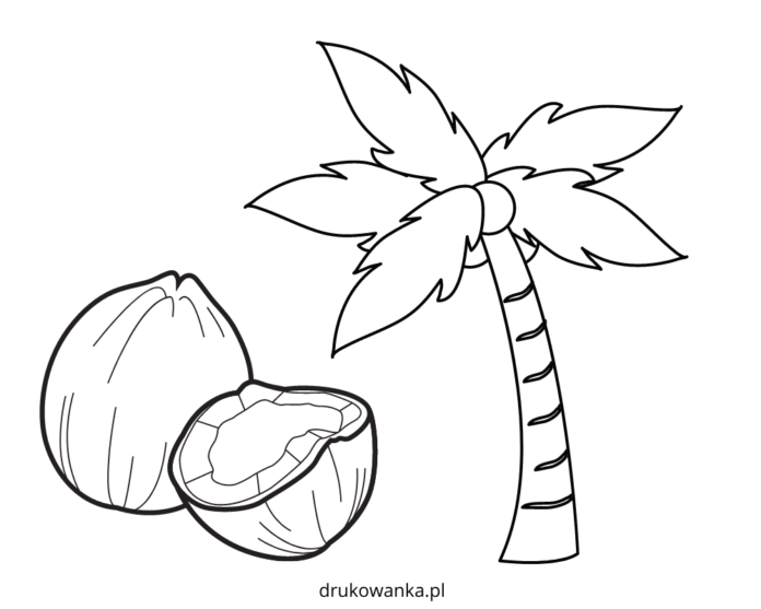 coconut palm tree coloring book to print