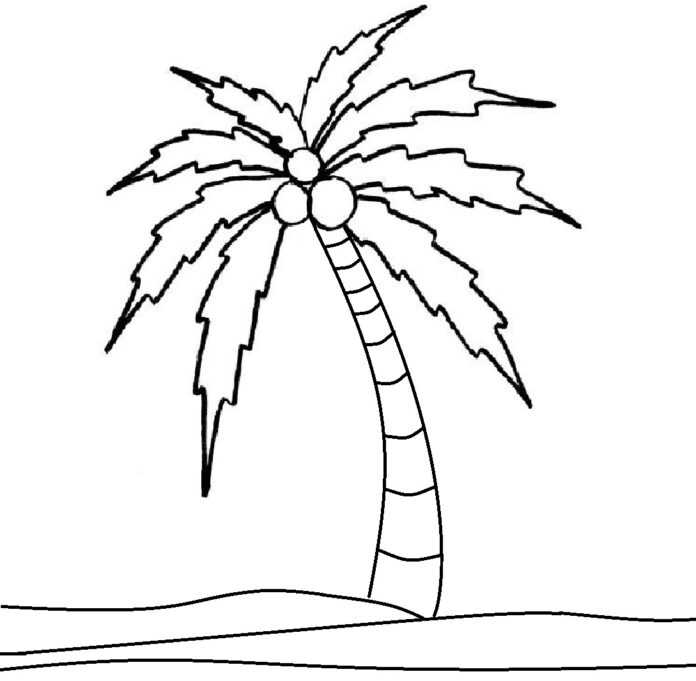 Kokosová palma obrázek k vytištění
