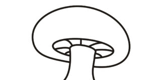 utskrivbar målarbok svamp