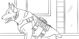 livre de coloriage imprimable sur les chiens policiers