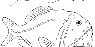 piranha attacks coloring book to print