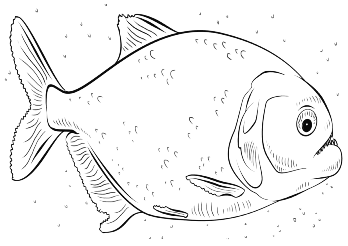 Piranha podvodná omaľovánka na vytlačenie