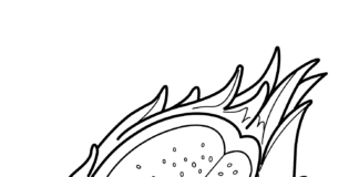 Imagen imprimible de la fruta del dragón Pitaya