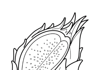 Immagine stampabile del frutto del drago Pitaya