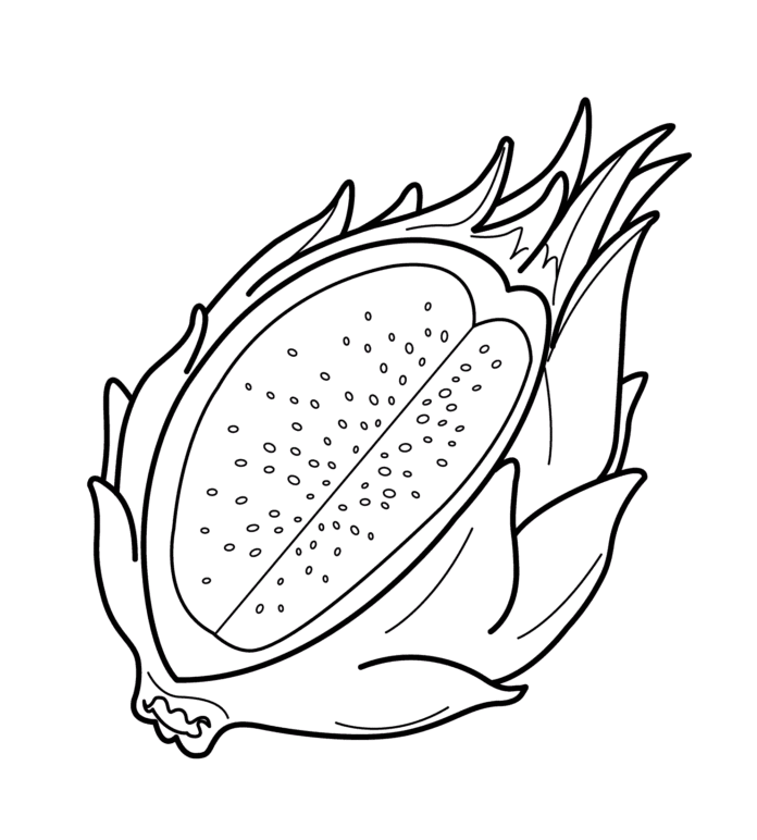 Imagen imprimible de la fruta del dragón Pitaya